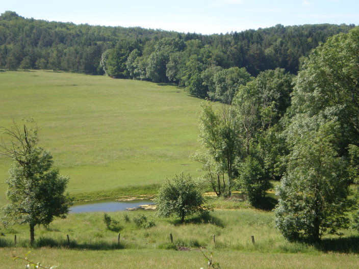 2008 juin bourgogne 013.jpg